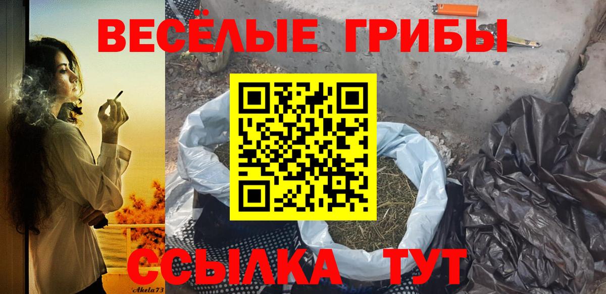 Углич  Галлюциногенные грибы прущие грибы  Вход с VPN 