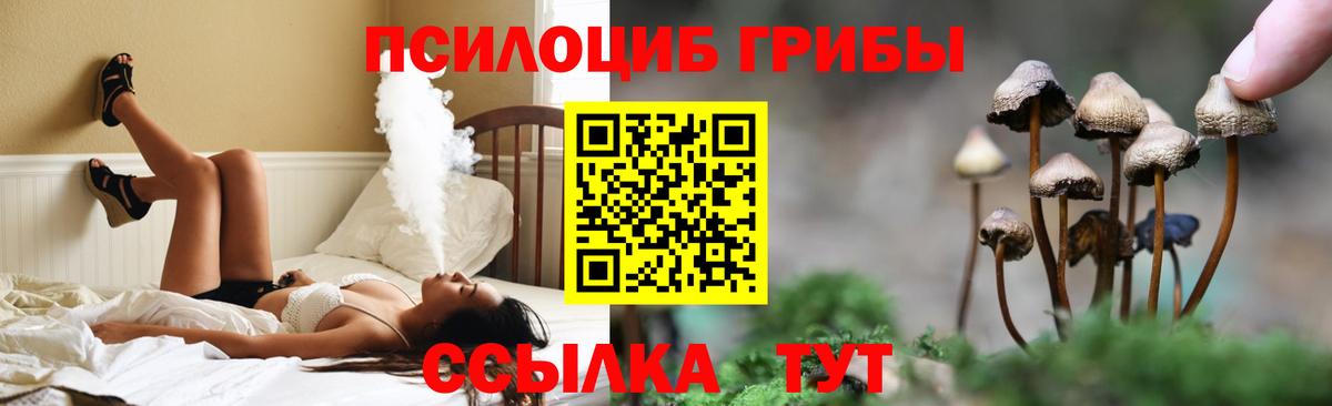 Псилоцибиновые грибы Cubensis Углич